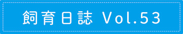 飼育日誌 Vol.53