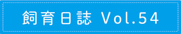 飼育日誌 Vol.54