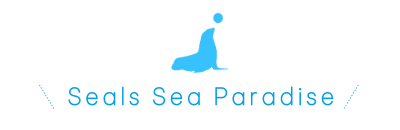 Seals Sea Paradise